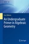 Front cover of An Undergraduate Primer in Algebraic Geometry