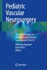 Front cover of Pediatric Vascular Neurosurgery