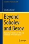 Front cover of Beyond Sobolev and Besov