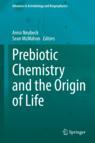 Front cover of Prebiotic Chemistry and the Origin of Life