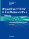 Front cover of Regional Nerve Blocks in Anesthesia and Pain Therapy