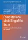 Front cover of Computational Modelling of the Brain