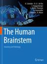 Front cover of The Human Brainstem