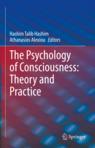 Front cover of The Psychology of Consciousness: Theory and Practice