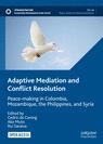 Front cover of Adaptive Mediation and Conflict Resolution