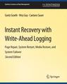 Front cover of Instant Recovery with Write-Ahead Logging