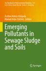 Front cover of Emerging Pollutants in Sewage Sludge and Soils
