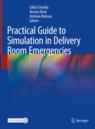 Front cover of Practical Guide to Simulation in Delivery Room Emergencies