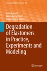 Front cover of Degradation of Elastomers in Practice, Experiments and Modeling