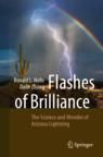 Front cover of Flashes of Brilliance