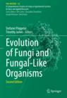 Front cover of Evolution of Fungi and Fungal-Like Organisms