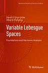 Front cover of Variable Lebesgue Spaces