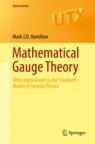 Front cover of Mathematical Gauge Theory