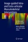 Front cover of Image-guided Intra- and Extra-articular Musculoskeletal Interventions