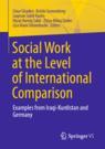 Front cover of Social Work at the Level of International Comparison