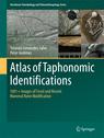Front cover of Atlas of Taphonomic Identifications