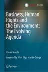 Front cover of Business, Human Rights and the Environment: The Evolving Agenda