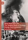 Front cover of More Heat than Life: The Tangled Roots of Ecology, Energy, and Economics