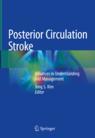 Front cover of Posterior Circulation Stroke