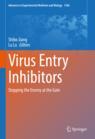 Front cover of Virus Entry Inhibitors