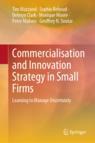 Front cover of Commercialisation and Innovation Strategy in Small Firms