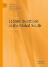 Front cover of Labour Questions in the Global South