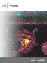 npj Imaging